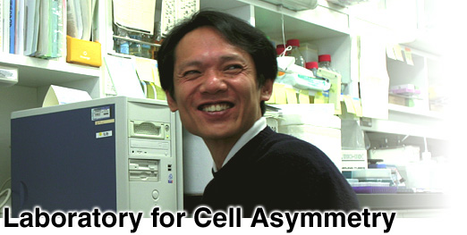 Laboratory for Cell Asymmetry