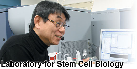 Laboratory for Stem Cell Biology