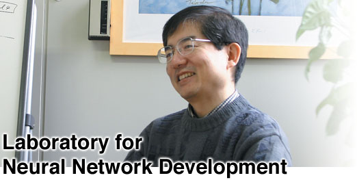 Laboratory for Neural Network Development