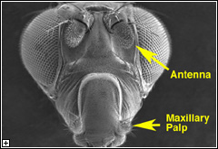 Click to enlarge.