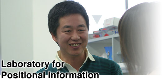 Laboratory for Positional Information