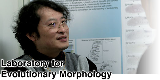Laboratory for Evolutionary Morphology