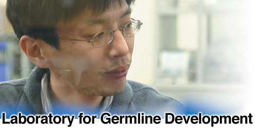 Laboratory for Germline Development