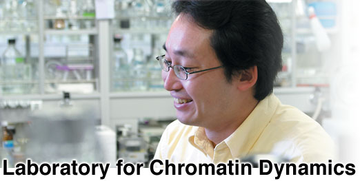 Laboratory for Chromatin Dynamics