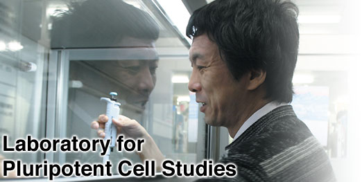 Laboratory for Pluripotent Cell Studies