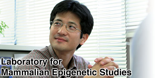 Laboratory for Mammalian Epigenetic Studies