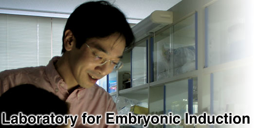 Laboratory for Embryonic Induction