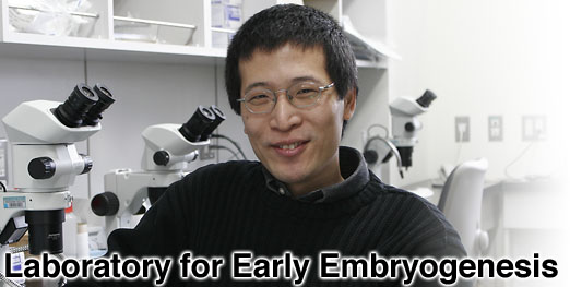 Laboratory for Early Embryogenesis