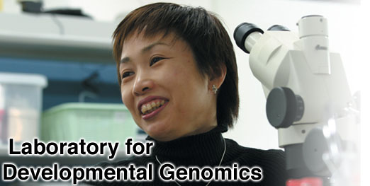Laboratory for Developmental Genomics