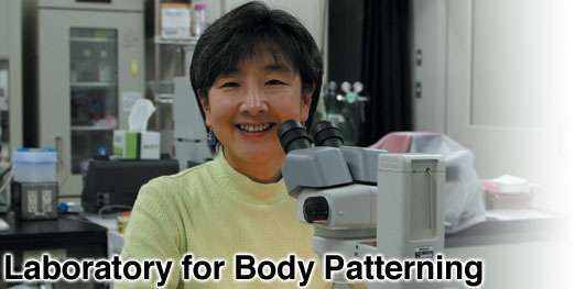 Laboratory for Body Patterning