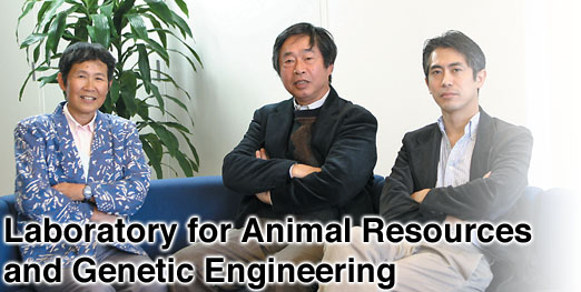 Laboratory for Animal Resources and Genetic Engineering