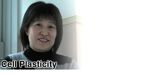 Cell Plasticity