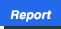 Report